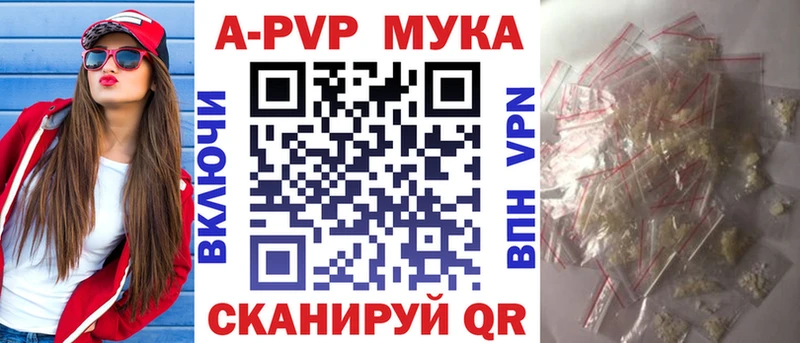 APVP СК  магазин  наркотиков  Чегем 