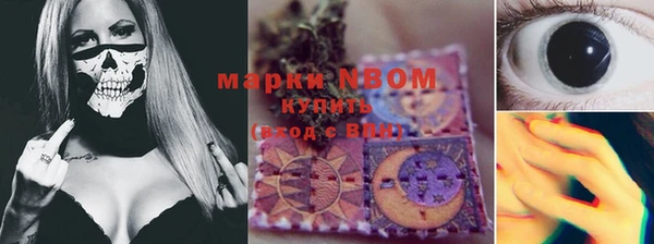 тгк Магас