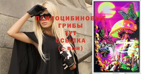 бошки Майский